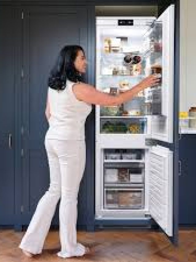 মাঝে মাঝে ফ্রিজ বন্ধ রাখলে কারেন্ট কম পোড়ে? আগে জানুন