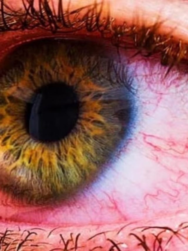 'জয় বাংলা' হইতে সাবধান! রইলো বাঁচার উপায়