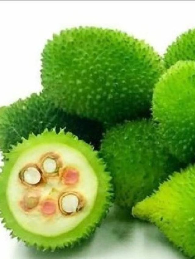 রোজ পাতে রাখুন এই সবজি, রোগমুক্তি হবে সহজে