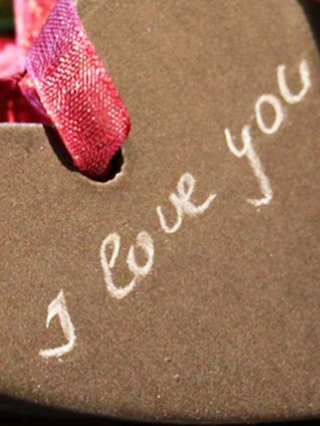 প্রেমে হাবুডাবু? প্রপোজের সঠিক সময় ও পদ্ধতি রইল