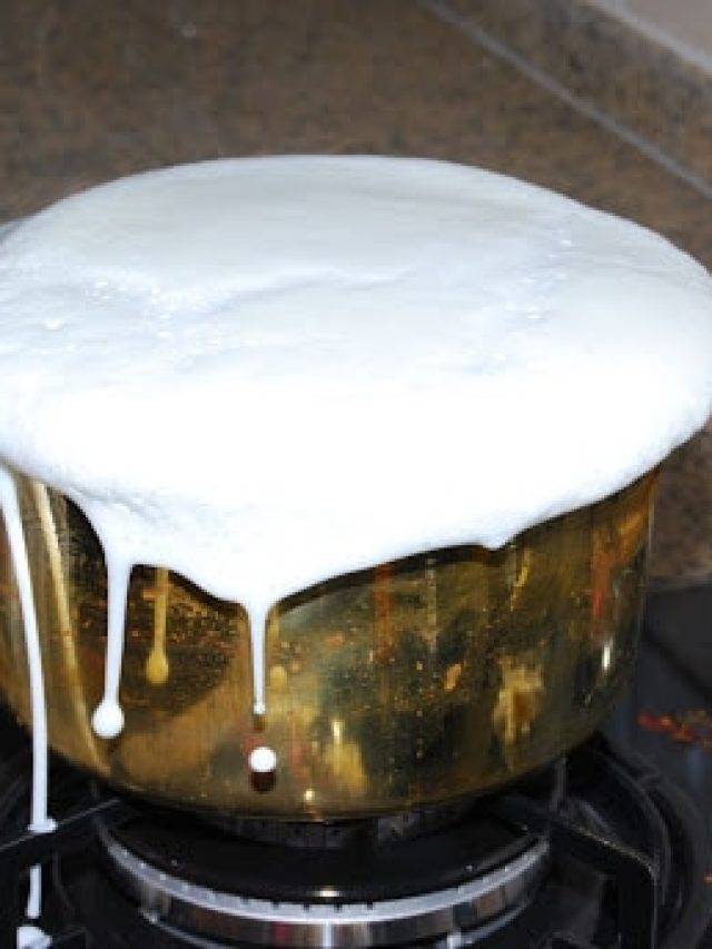 দুধ পুড়ে গিয়েছে? ফেলে না দিয়ে বানান ৩ খাবার