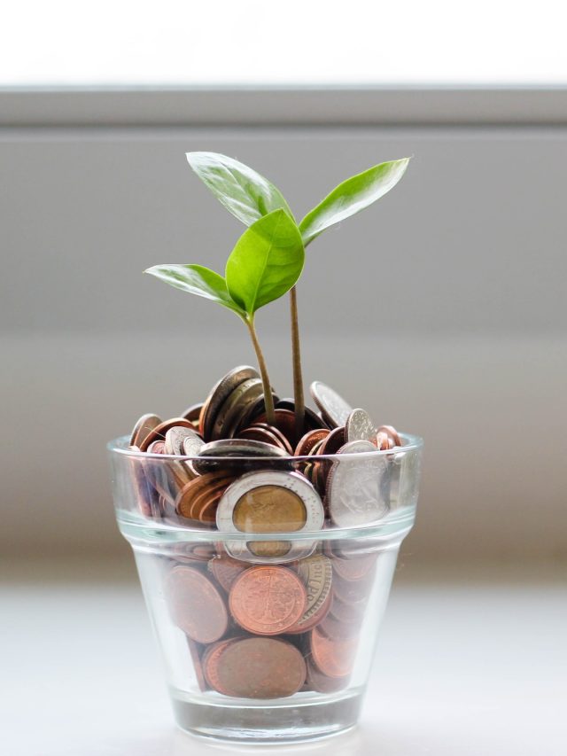 কোটিপতি হতে চান? বাড়িতে লাগান এই কাঁটা গাছ