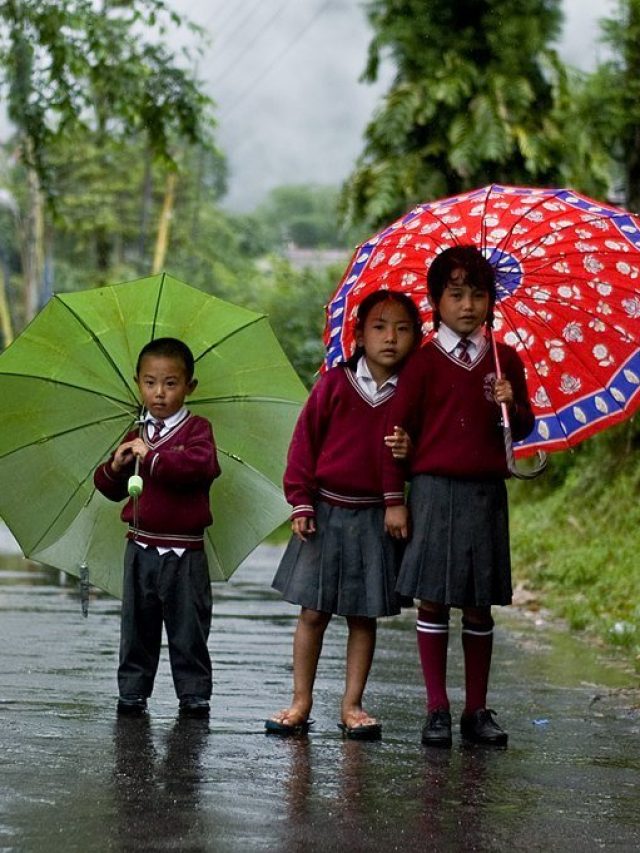 শিশুদের বুদ্ধি বাড়িয়ে তুলবে, ওদের খেতে দিন এসব খাবার