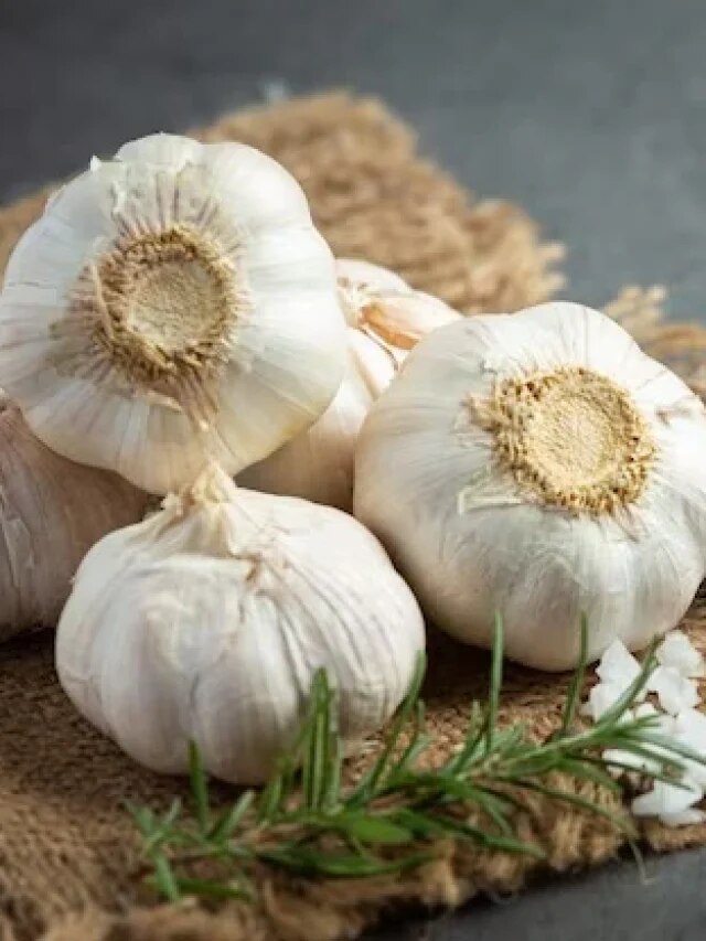 নিয়ন্ত্রণে রাখে রক্তচাপ-কোলেস্টেরল, বাড়ায় আয়ু; রসুন-মধুর গুণ অনেক