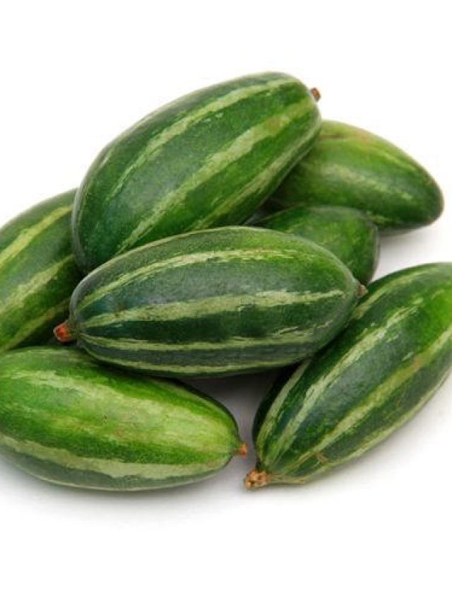 জানেন পটলকে ইংরেজিতে কী বলে?