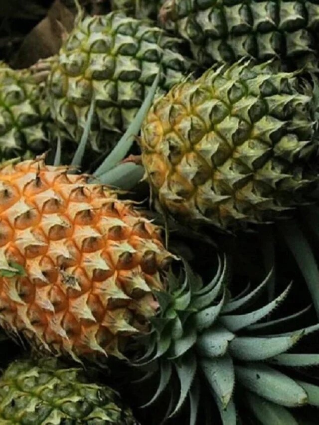 হাই প্রেসার-ডায়াবেটিসে আনারস খাওয়া ঠিক?