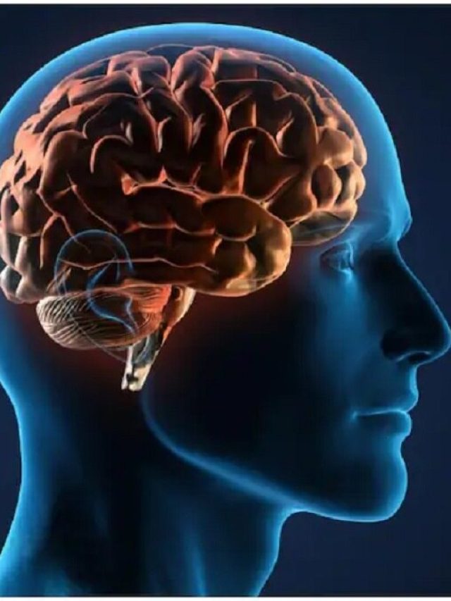 ব্রেনের সুপারফুড এই ৫ জিনিস, খেলে মস্তিষ্ক হবে শক্তিশালী