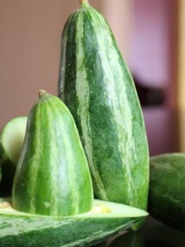 পটলের বীজ খান? কী হয় জানুন