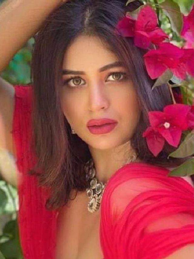 লাল গাউনে ঋতাভরী যেন সদ্য ফোটা গোলাপ, চোখ সরাতে পারবেন না