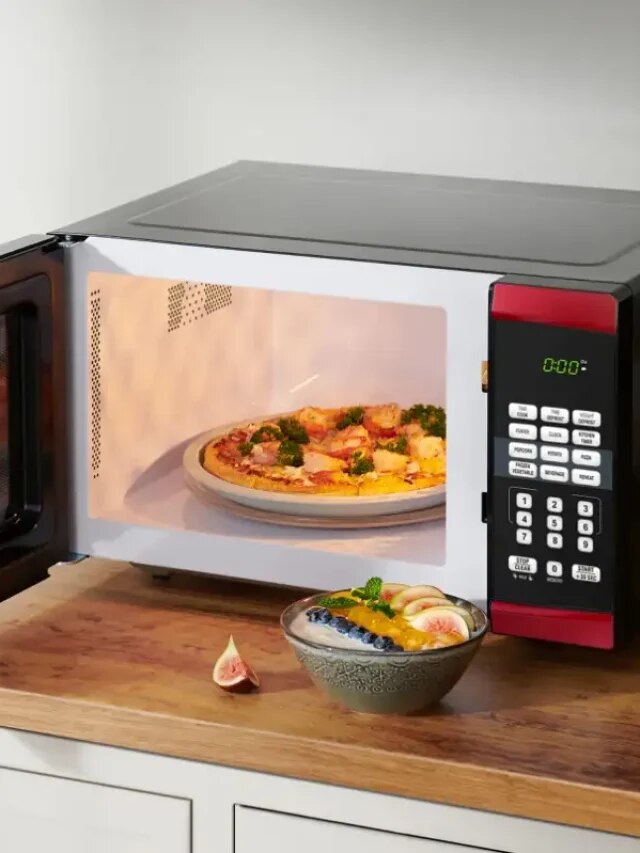 এসব জিনিস মাইক্রোওয়েভে ঢোকাবেন না, আগুন ধরে যেতে পারে