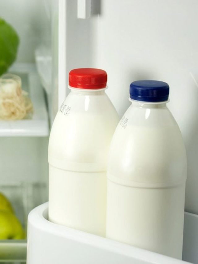 ফ্রিজে দুধ রাখার সঠিক জায়গা কোথায়? অধিকাংশ মানুষই জানেন না!