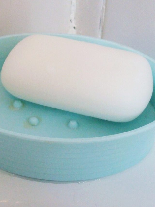 রোগের বাসা সাবানের কেস, কেন জানেন?