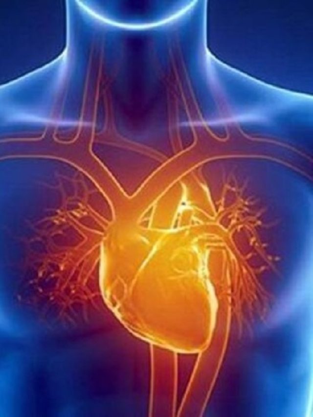 হার্ট অ্যাটাক- স্ট্রোকের ঝুঁকি কমাবেন কীভাবে?