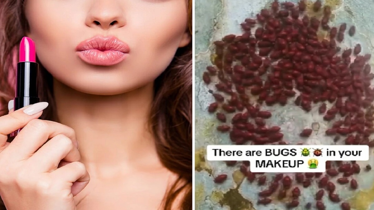 Lipstick लगाती हैं तो देख लें ये VIDEO, कीड़े से तैयार होते हैं इसके