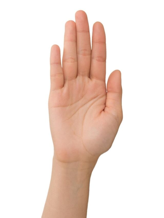 শরীরে এই চিহ্ন আছে? থাকলে ধনী হওয়া যাবে সহজেই