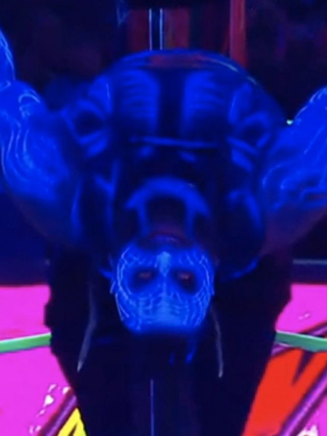 অকালে প্রয়াত WWE তারকা ব্রে ওয়াট