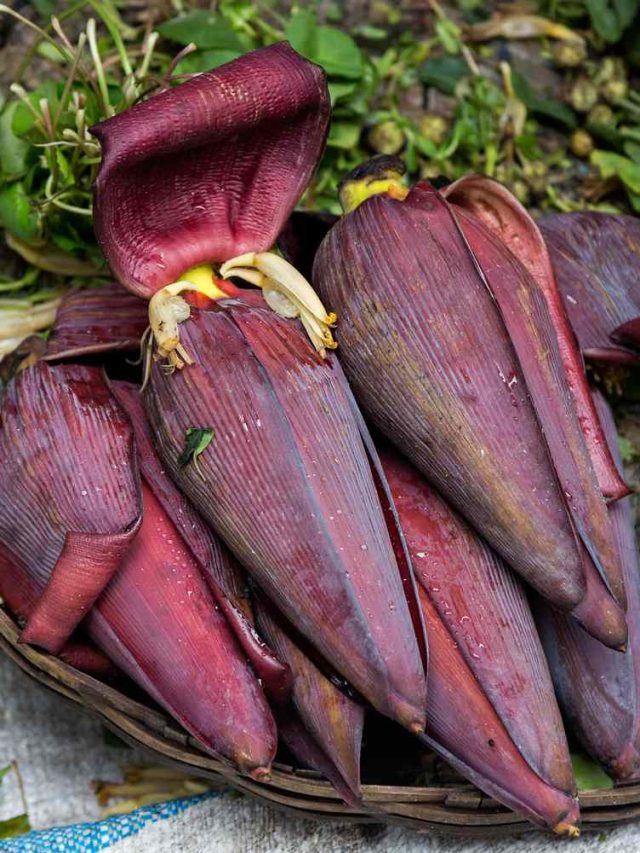 মোচা ইংরেজি কী? খাচ্ছেন অথচ জানেন না অনেকেই