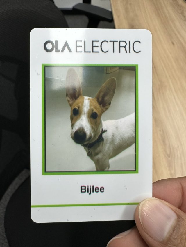 Meet Ola Electric's newest employee, a dog named Bijlee; Know all about Ola CEO Bhavish Aggarwal's bid to make office pet-friendly