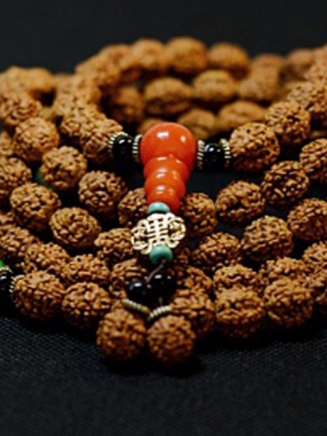 কীভাবে চিনবেন বাজারের রুদ্রাক্ষ আসল নকল? বোঝার নিয়মটা জেনে নিন