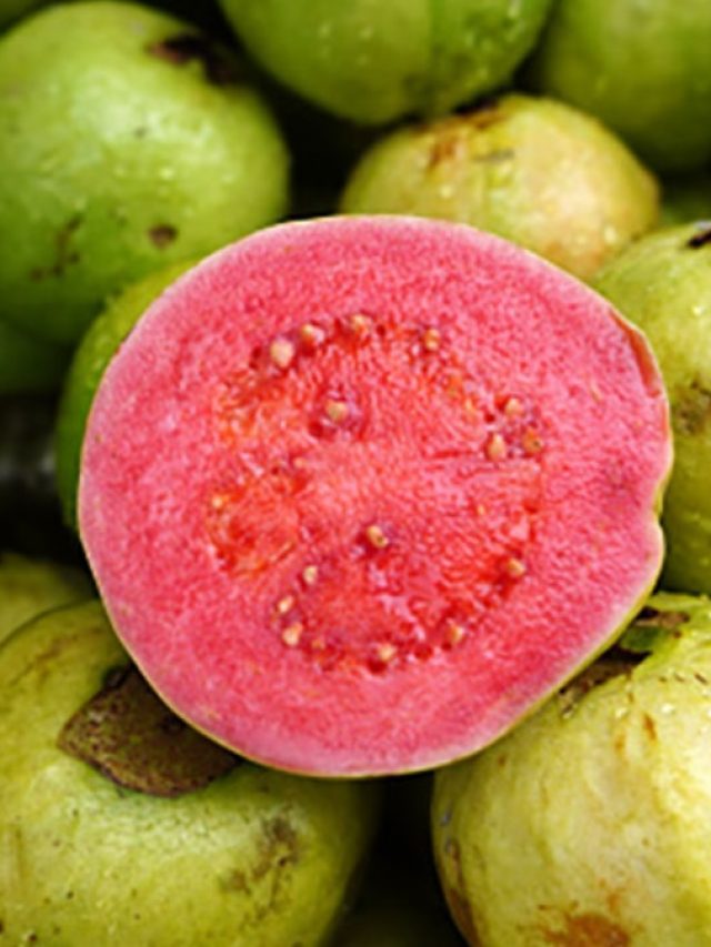 সাদার চেয়ে লাল পেয়ারা বেশি উপকারী, রয়েছে ৬ অসাধারণ গুণ