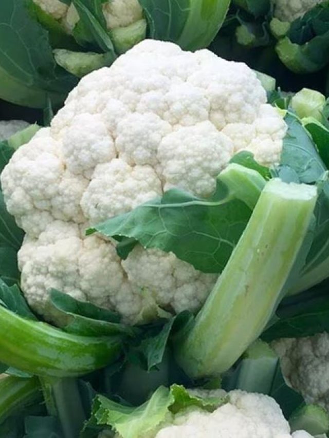 বছরভর রেখে খান ফুলকপি, ফ্রিজে স্টোর করার সিক্রেট ট্রিক