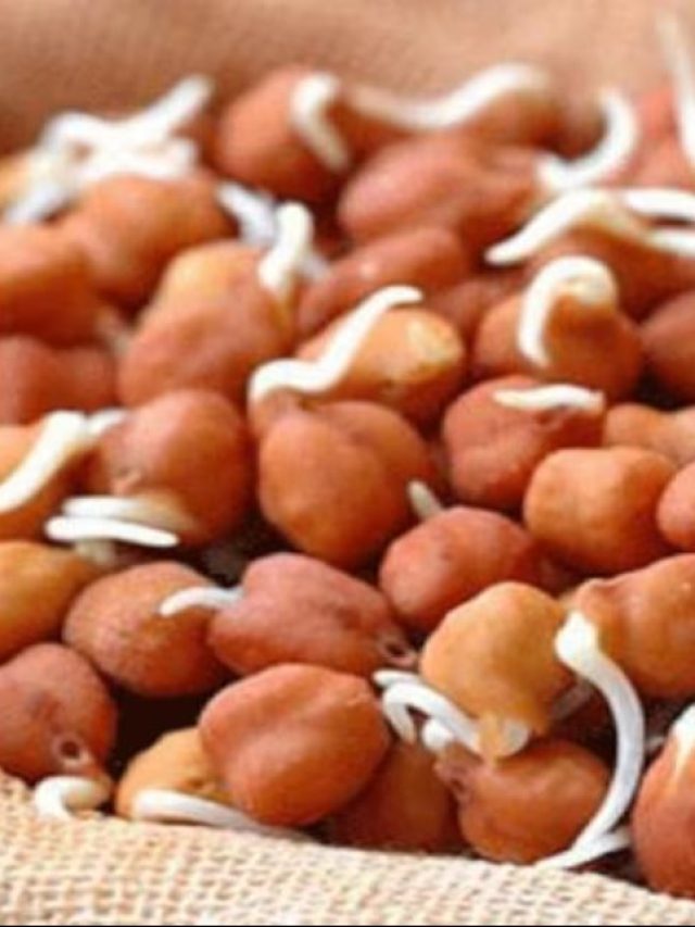 ৭ সুপারফুড! শীতে সর্দিকাশি ছুঁতে পারবে না