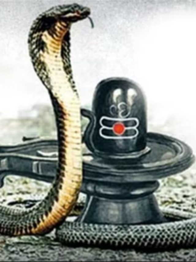 এই বিশেষ কালসর্প যোগে রাতারাতি হবেন লাখপতি