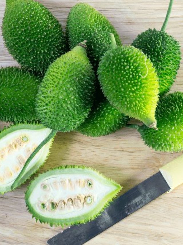 কাঁকরোলের ইংরেজি কী? অনেক শিক্ষিতরাই সঠিকটা জানেন না