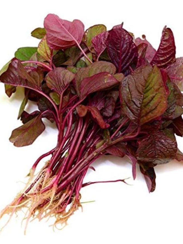 লাল শাক খান? শরীরে এর কী প্রভাব জানেন?