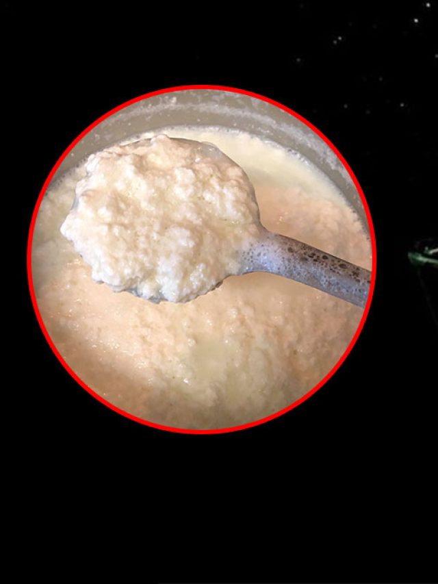 প্রায়ই দুধ কেটে ছানা হচ্ছে? সমাধানের ঘরোয়া টোটকা