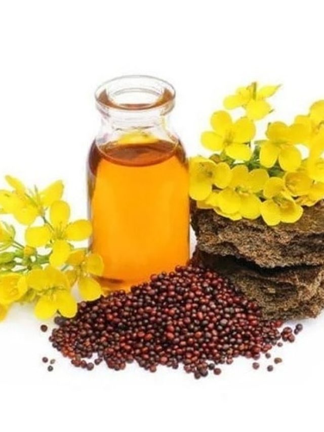 শীতে সর্ষের তেল মাখেন? ত্বকের জন্য ভাল না খারাপ?