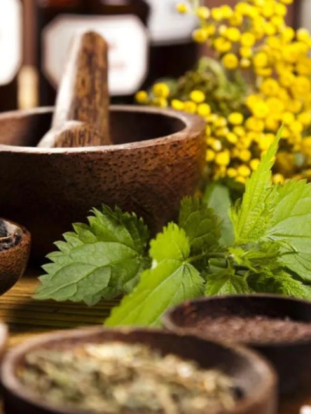 হাই ব্লাডপ্রেশার? আয়ুর্বেদের এই টোটকায় নিয়ন্ত্রণ