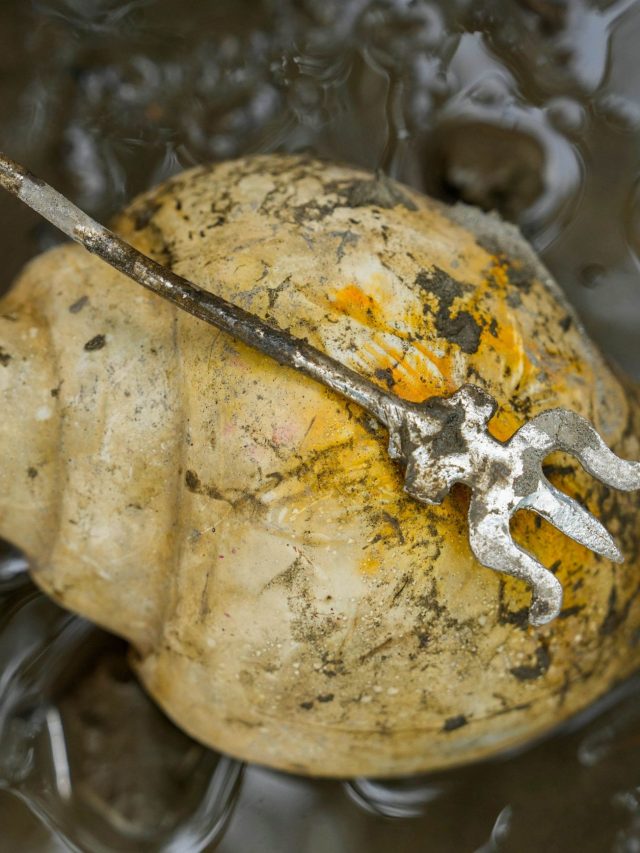 শঙ্খে ফুঁ দিলে কী কী লাভ? যা বলছে বিজ্ঞান