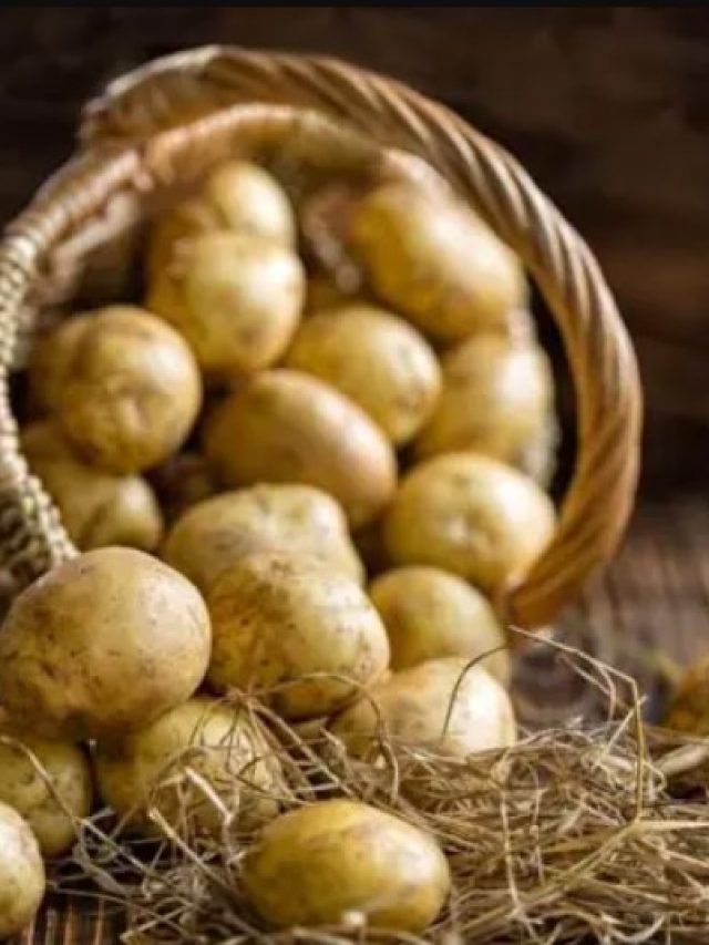 আলু খেলে মোটা হয়ে যাবেন? কী বলছেন পুষ্টিবিদরা