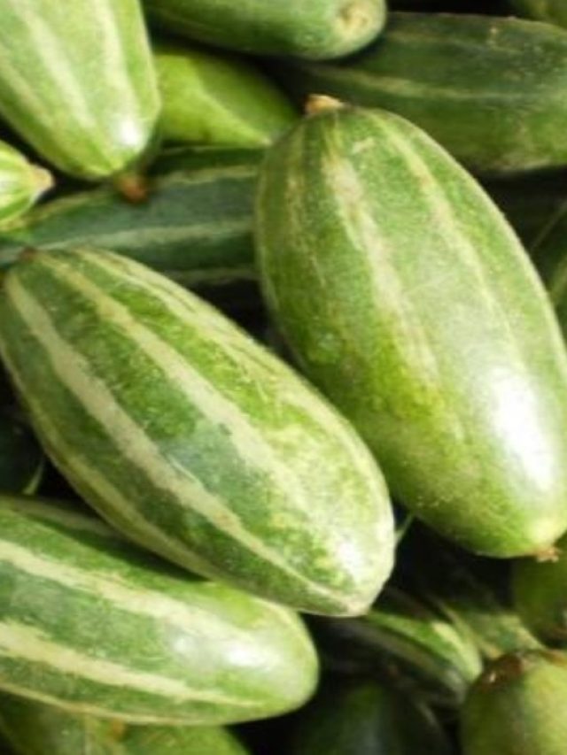 এসব মানুষের জন্য পটল বিষের মতো, আপনার নাম আছে কি দেখুন