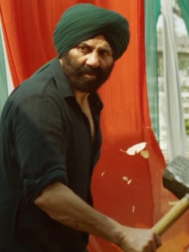 गदर में सनी ने खुद किए थे खतरनाक स्टंट, 'पापा' की दिलेरी देख इंप्रेस हुआ 'बेटा'