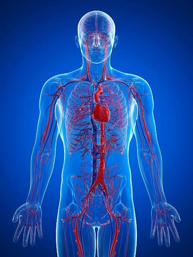 शरीर में खून का सर्कुलेशन सही नहीं होने पर होती हैं ये दिक्कतें, 7वीं तो बेहद खतरनाक