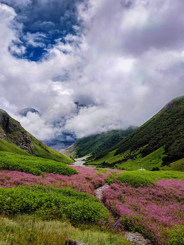 হিমালয়ে ফুলের উপত্যকায় ট্রেক করেছেন? রইল রুট