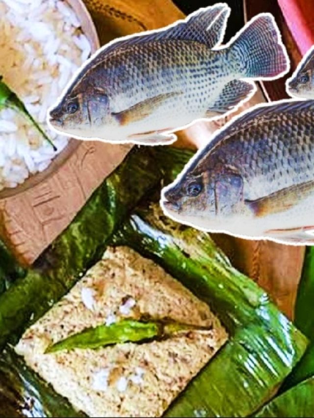 ইলিশ-তোপসে তো হল, তেলাপিয়ার পাতুরি খেয়েছেন? রেসিপি