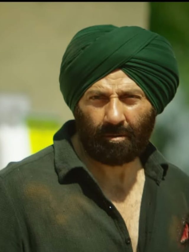 कैसे बना गदर 2 का हैंडपंप सीन? एक्शन डायरेक्टर ने सनी को बताया 'देवता का रूप'