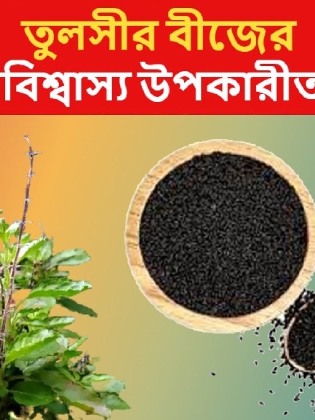 স্যালাডে মেশান তুলসীর বীজ, ওজন কমবে হু হু করে