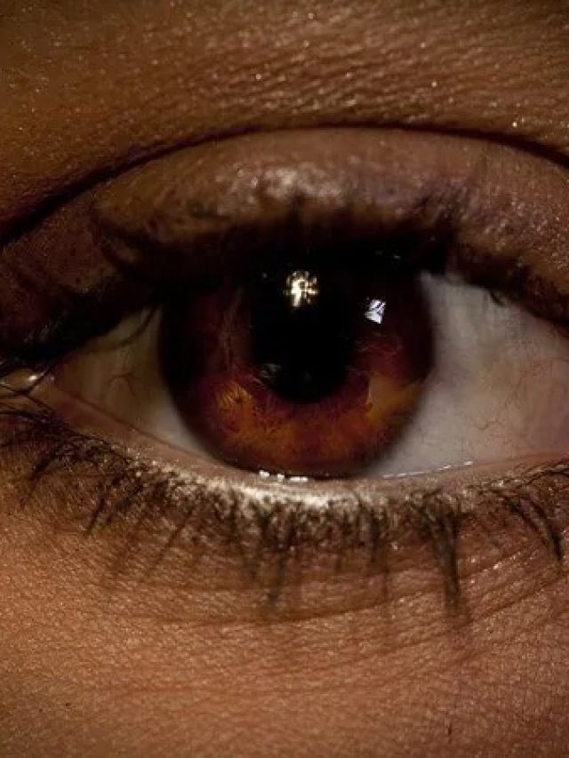 বয়সকালেও চশমা লাগবে না, ডায়েটে ৭ খাবার 'মিরাকল'