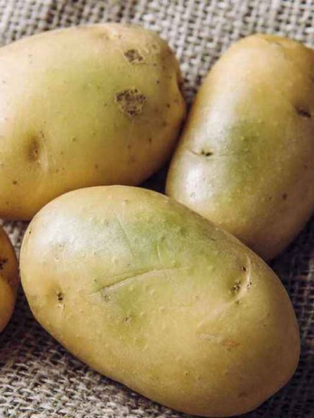 আলু তো খাচ্ছেন, সবুজ ছোপযুক্ত আলু খাওয়া কি ঠিক?