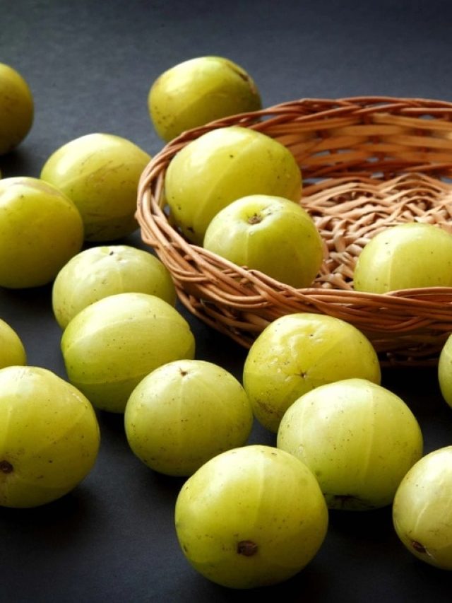 খালি পেটে আমলকী-জল, শরীরে 'ম্যাজিক'