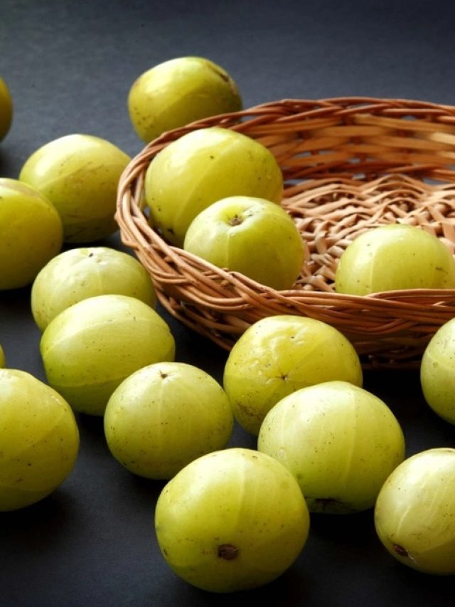 ইমিউনিটি বাড়াতে  রোজ আমলকি  খাচ্ছেন? মারাত্মক মাসুল গুনতে হতে পারে