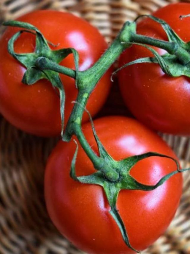 টমেটোর খেলে হতে পারে এই রোগগুলি, সাবধান