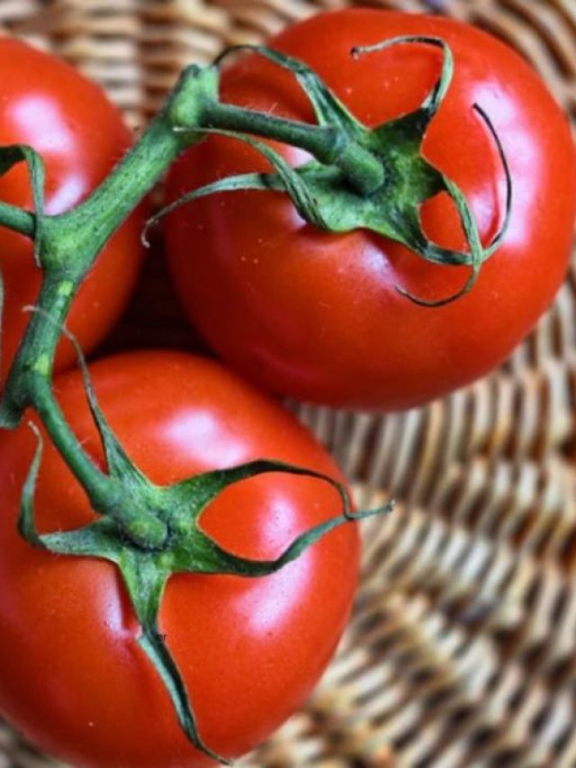 এই ৪ স্বাস্থ্য সমস্যায় টমেটো অত্যন্ত বিপজ্জনক!