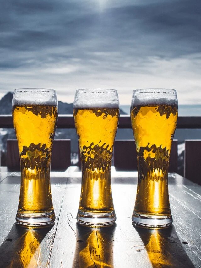 বিয়ার খেলে সত্যিই ভুঁড়ি বাড়ে? সত্যিটা হল...