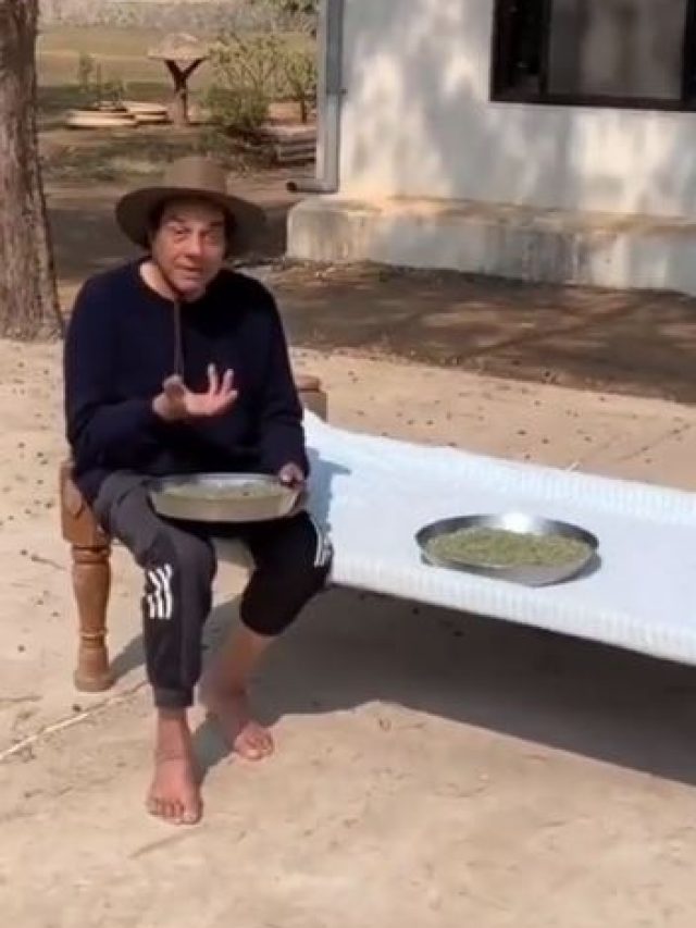 गांव में सिंपल जिंदगी जी रहे धर्मेंद्र, खाट पर बैठ सुखाई मेथी, बोले- पराठे बनेंगे, फिर...