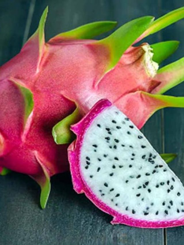 ছাদের টবে লাগান ড্রাগন ফল, মালামাল হওয়া থেকে পার পাবেন না!